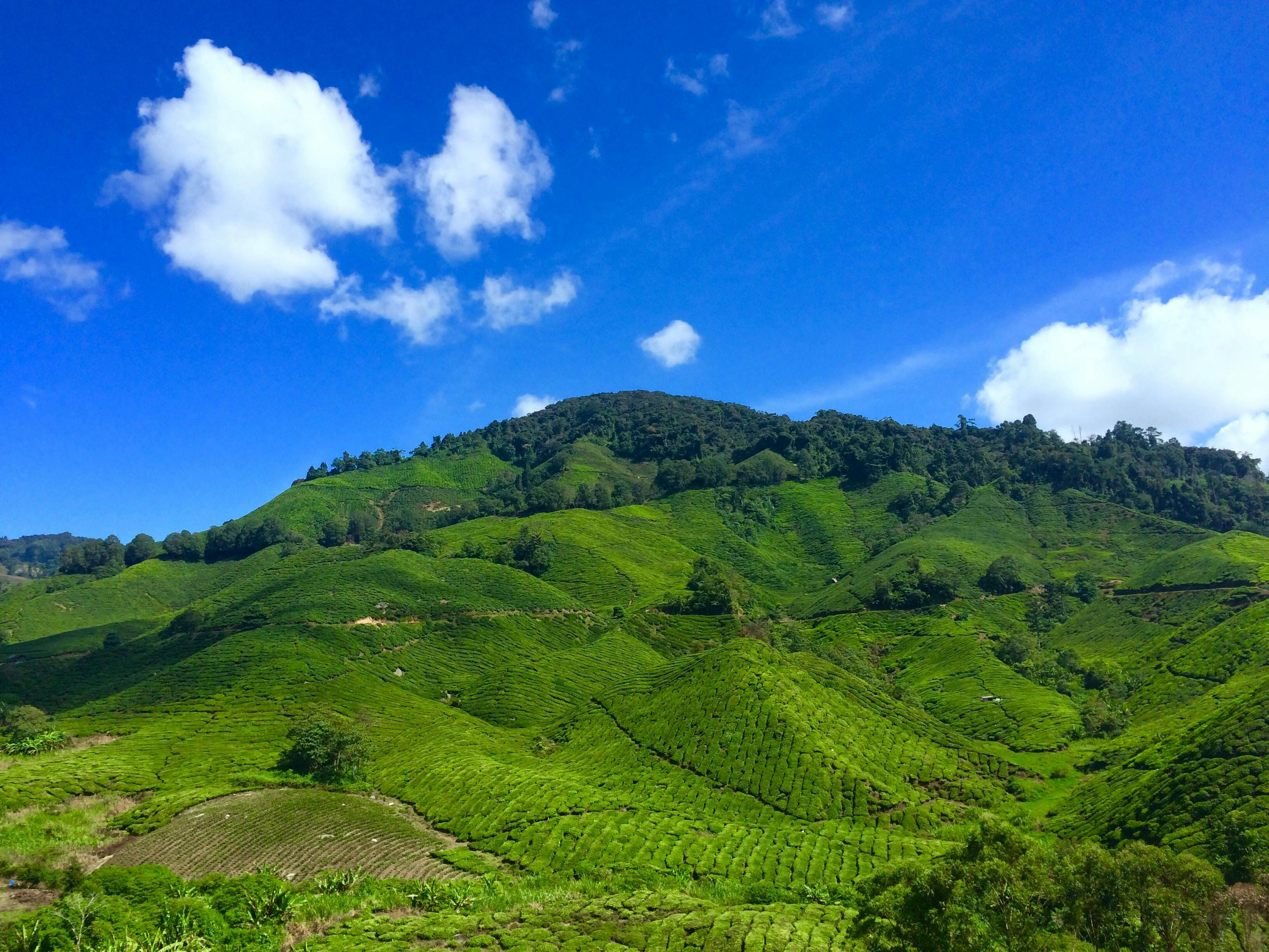 Photo by Pok Rie: https://www.pexels.com/photo/landscape-photography-of-green-hill-under-blue-sky-and-white-clouds-during-daytime-130576/